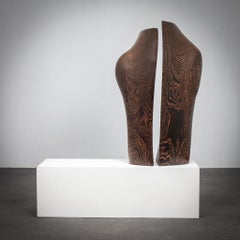 Breathing Organic Wooden Sculptures by Ineke van Zuuren, 1970s