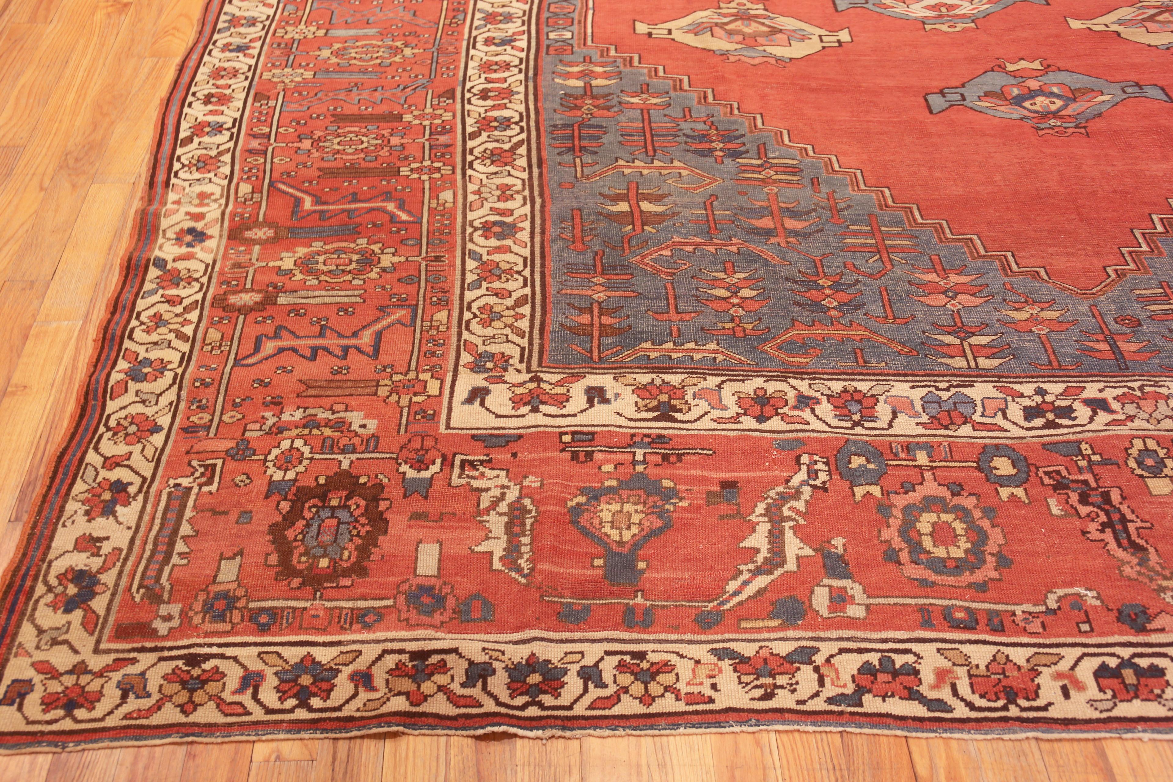 Grand tapis persan Serapi ancien à couper le souffle 11'8
