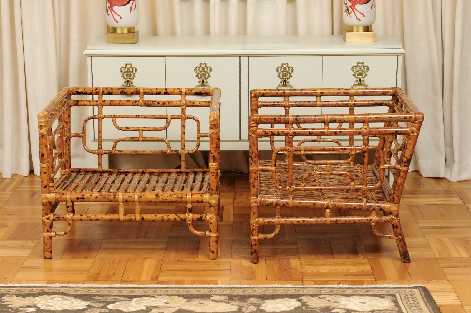 Breathtaking Pair of Tortoiseshell Emperor's Chairs by Vivai del Sud, 1975 For Sale 4