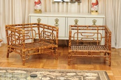 Breathtaking Pair of Tortoiseshell Emperor's Chairs by Vivai del Sud, 1975