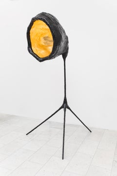Brecht Wright Gander, The Yo! Burri Lamp, USA, 2018