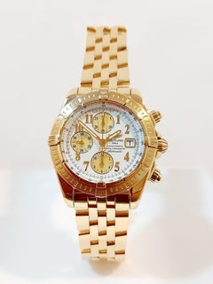 Breitling Evolution Watch