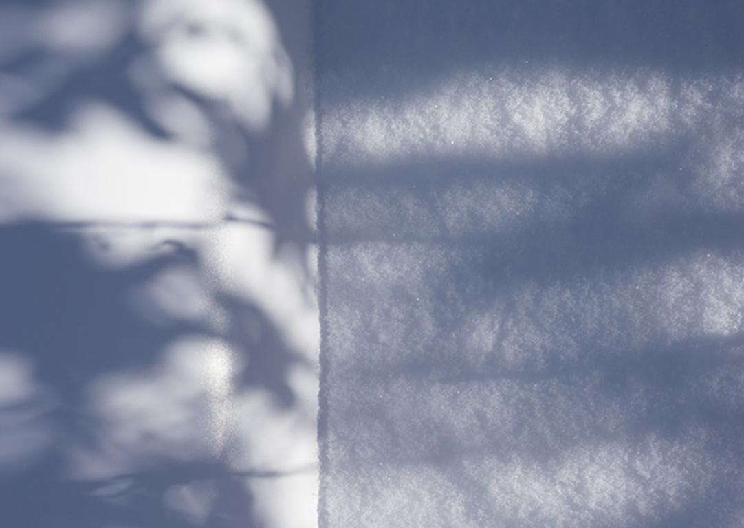 Shadow Legacy no. 1 - Blue & white abstract snow tree environmental landscape - Photograph by Brenda Biondo
