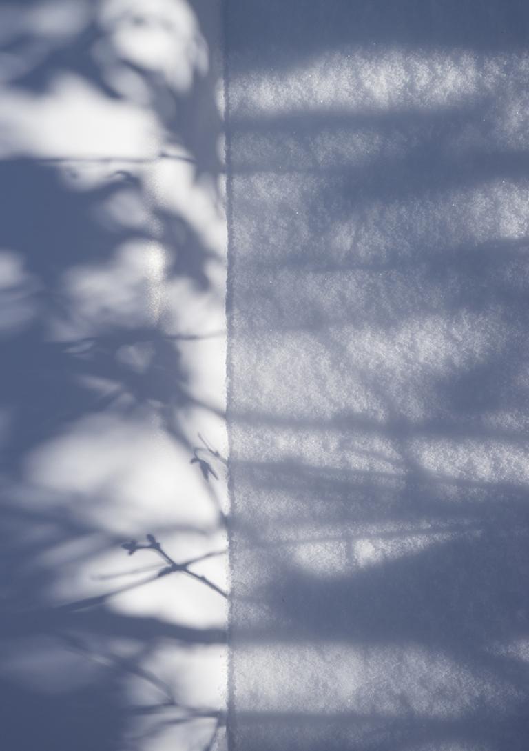 Shadow Legacy no. 1 - Blue & white abstract snow tree environmental landscape - Abstract Geometric Photograph by Brenda Biondo