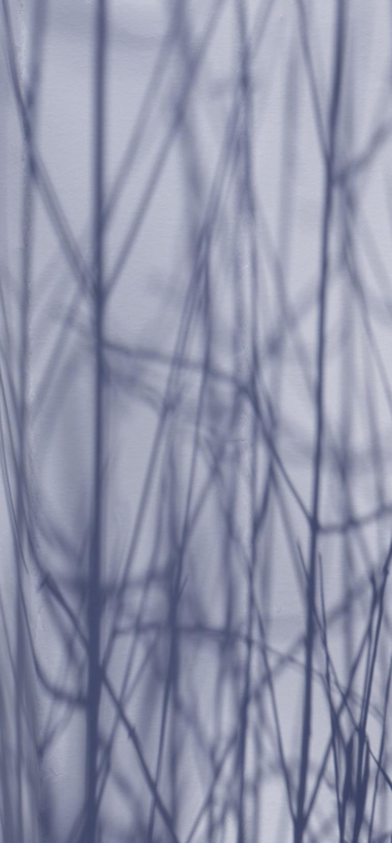 Shadow Legacy no. 10 - Abstract blue & gray geometric snow landscape w/ branches - Photograph by Brenda Biondo
