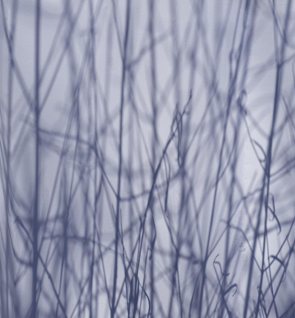 Shadow Legacy no. 10 - Abstract blue & gray geometric snow landscape w/ branches - Abstract Geometric Photograph by Brenda Biondo