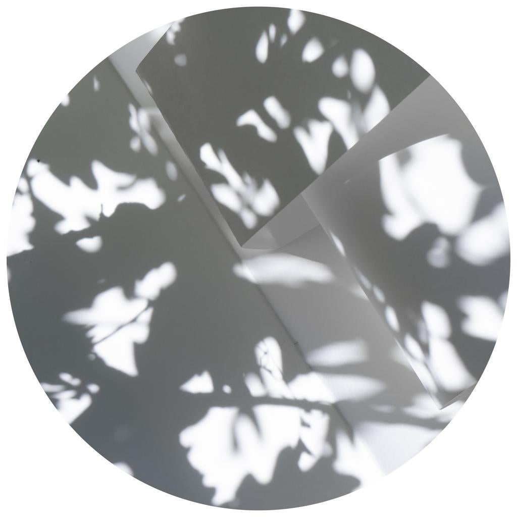 Shadow Legacy no. 18 - Abstract gray & white shadow floral snow circle landscape - Photograph by Brenda Biondo