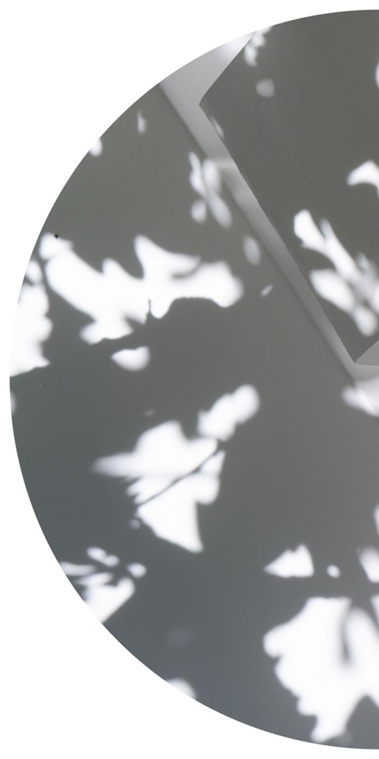 Shadow Legacy no. 18 - Abstract gray & white shadow floral snow circle landscape - Abstract Geometric Photograph by Brenda Biondo