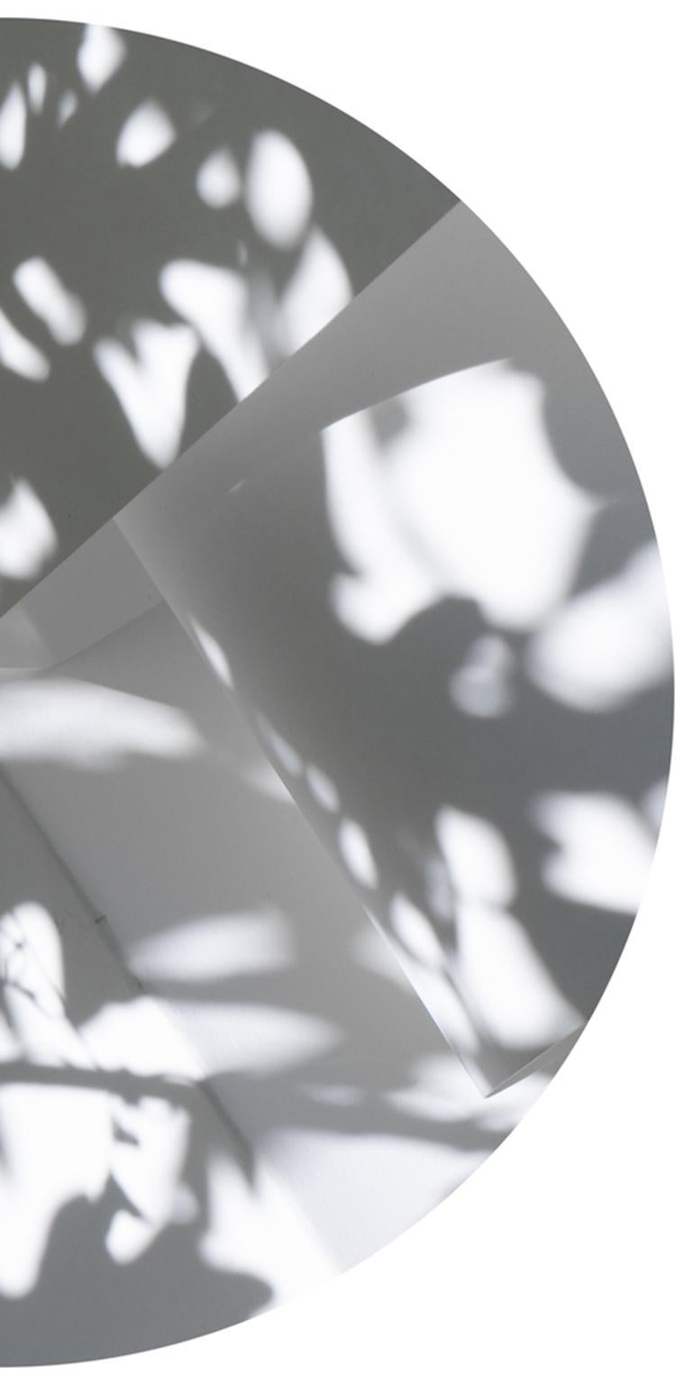 Shadow Legacy no. 18 - Abstract gray & white shadow floral snow circle landscape - Gray Abstract Photograph by Brenda Biondo