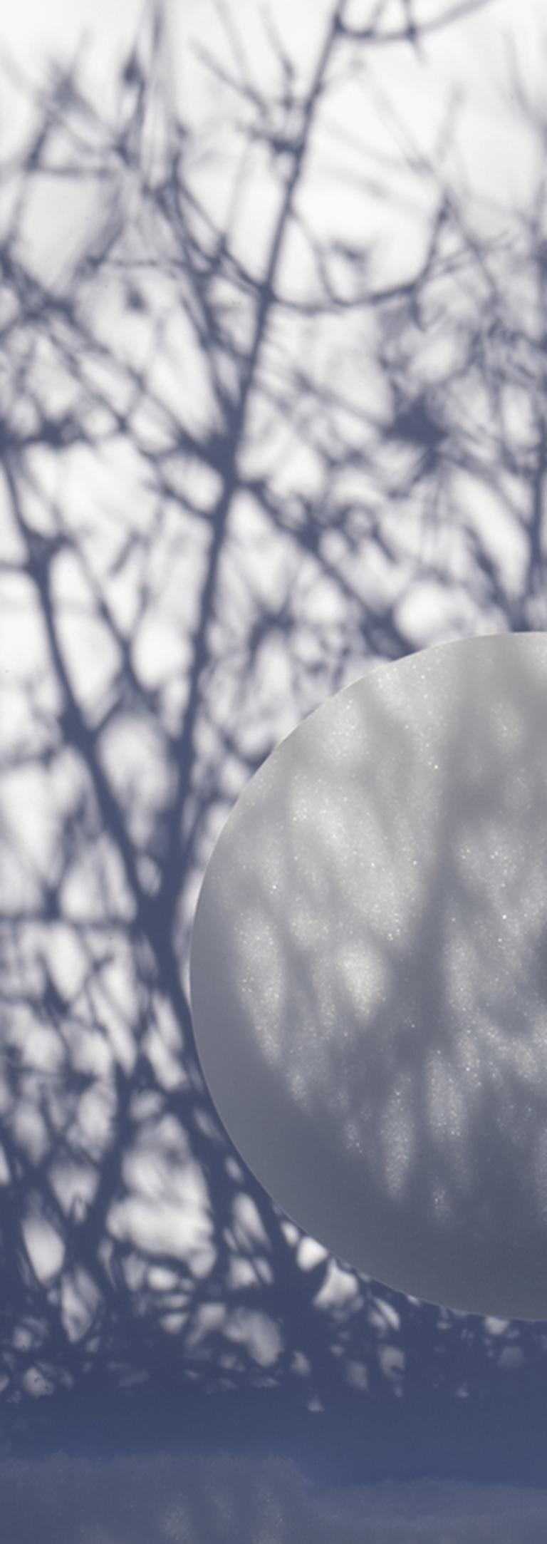 Shadow Legacy no. 2 - Blue & white circle abstract, snow tree branches landscape - Photograph by Brenda Biondo