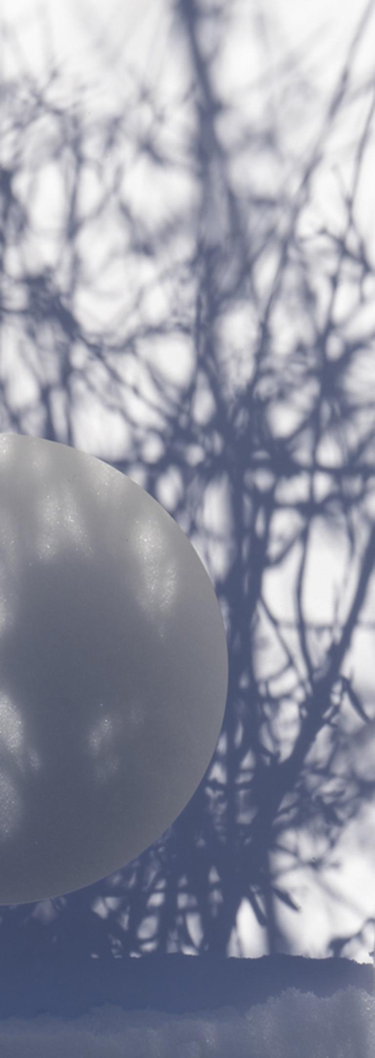 Shadow Legacy no. 2 - Blue & white circle abstract, snow tree branches landscape - Abstract Geometric Photograph by Brenda Biondo