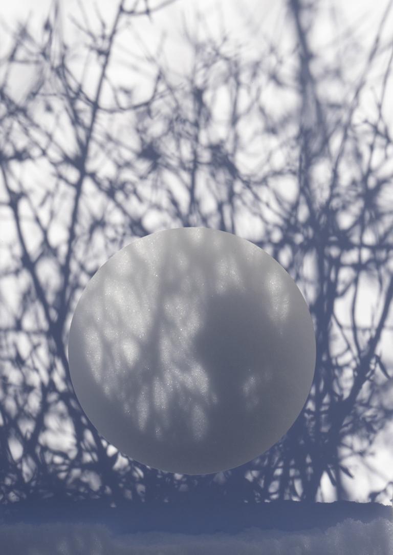Shadow Legacy no. 2 - Blue & white circle abstract, snow tree branches landscape - Gray Landscape Photograph by Brenda Biondo