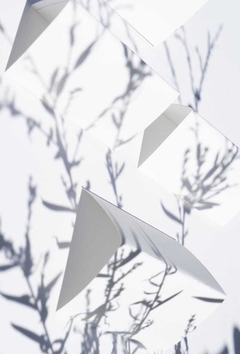 Shadow Legacy no. 6 - Minimal gray & white geometric snow landscape w/ leaves - Abstract Geometric Photograph by Brenda Biondo