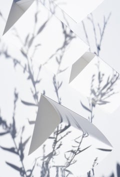 Shadow Legacy no. 6 - Minimal gray & white geometric snow landscape w/ leaves