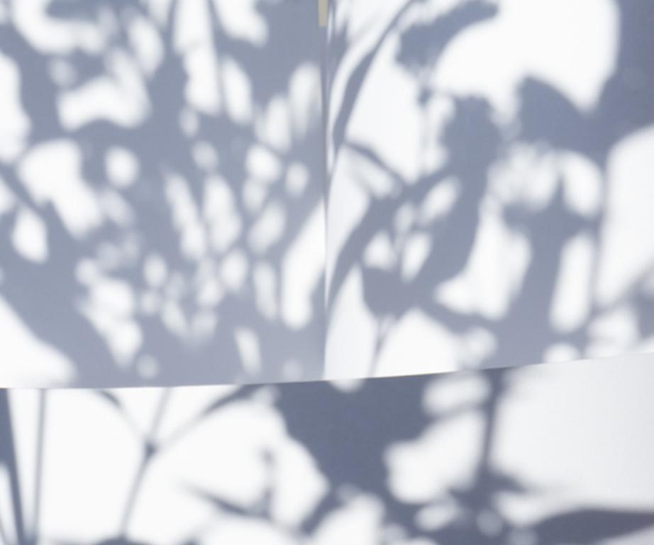 Shadow Legacy no. 8 - Abstract gray & white geometric snow landscape w/ leaves - Photograph by Brenda Biondo