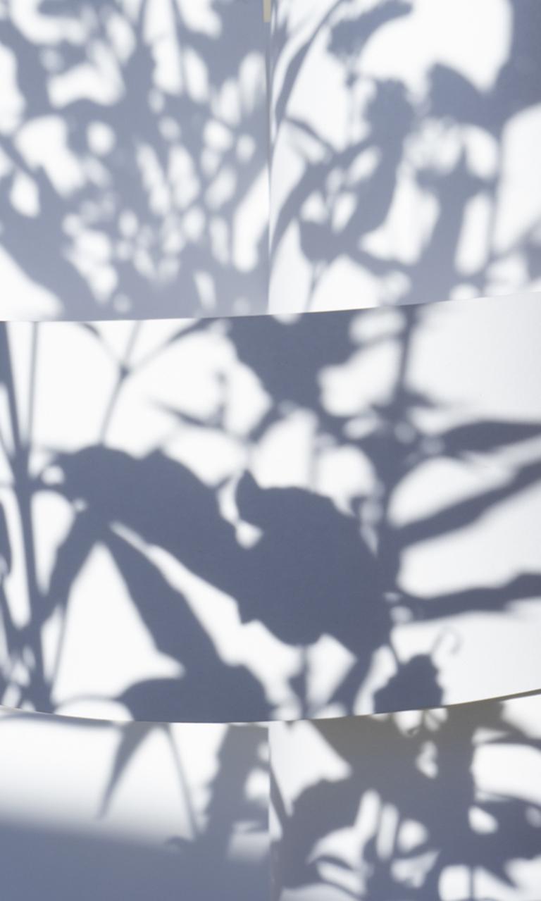 Brenda Biondo Abstract Photograph - Shadow Legacy no. 8 - Abstract gray & white geometric snow landscape w/ leaves