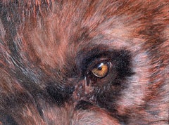 "Grizzly Stare II" - Peinture expressionniste figurative originale (2013)