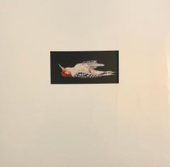 Oiseaux, Impression photographique Cibachrome, Art conceptuel signé