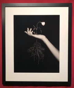 "Human Nature Pt. 1" Fotografia 20" x 16" pollici Edizione 2/7 di Brendan North