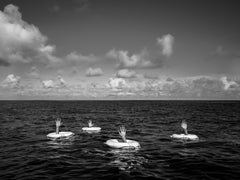 "Sálvanos" Fotografía 24 x 32 en Ed. de 7 por Brendan North
