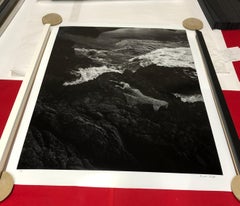 "The Death of Wonder" Photography 20" x 16" in Ed 1/15 by Brendan North