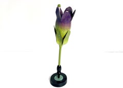 Brendel «Atropa Belladona» Botanical Model XIXe by Robert Brendel Company
