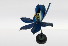 Brendel «Delphinium Consolida» XIXe Botanical Model by Robert Brendel's Company