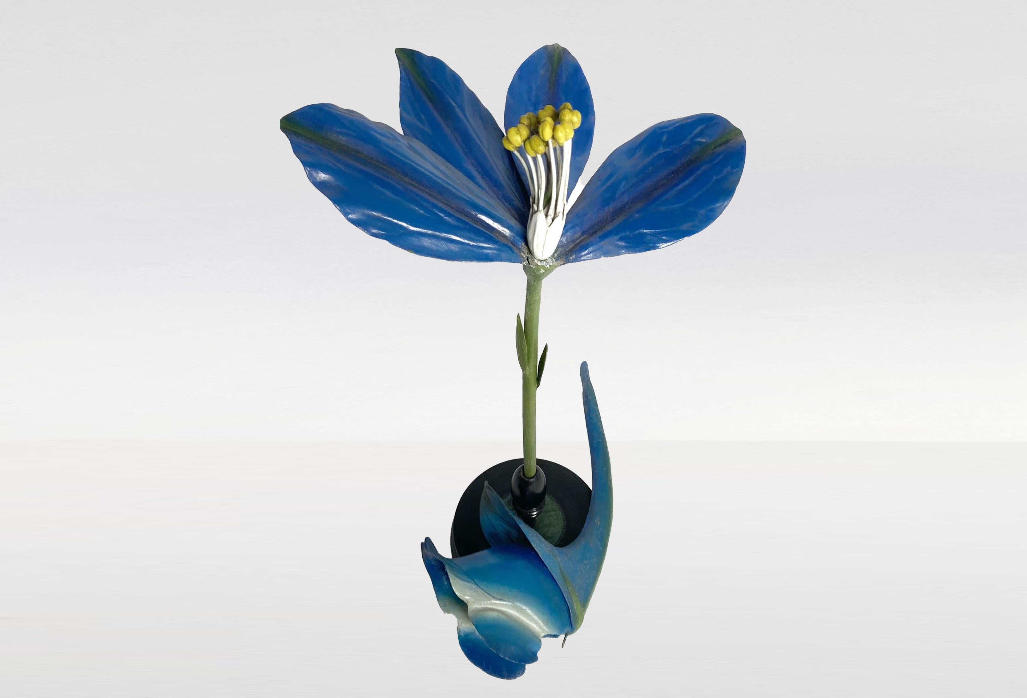 Arts and Crafts Brendel «Delphinium Consolida» XIXe Botanical Model by Robert Brendel's Company 