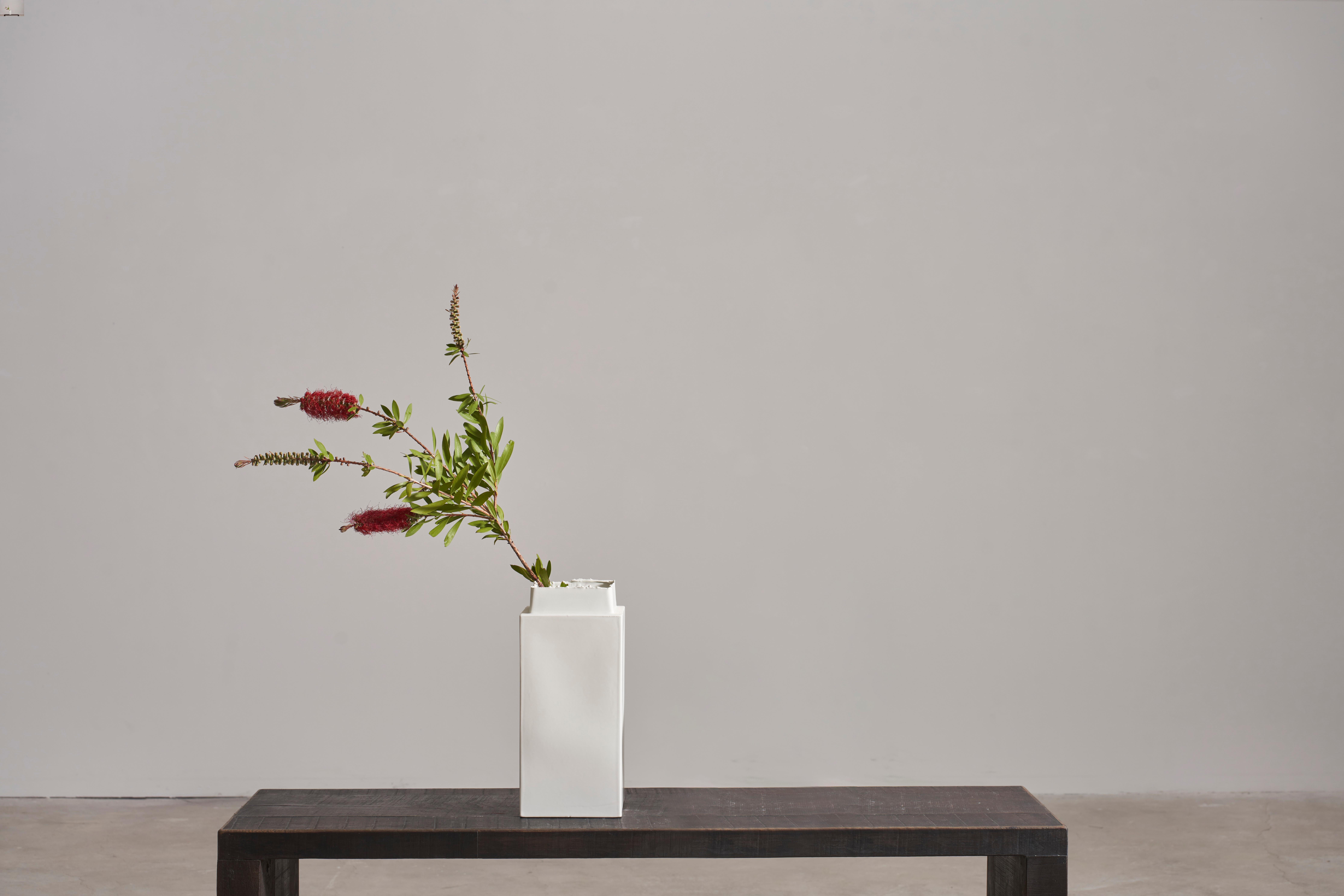 Vaso Brenta di Jenna Basso Pietrobon
Dimensioni: L. 15 x P. 15 x H. 34 cm
Materiali: Ceramica.


Jenna Basso Pietrobon, nata nel 1986, è un'artista il cui lavoro analizza i problemi della società attraverso la lente delle sue esperienze personali.