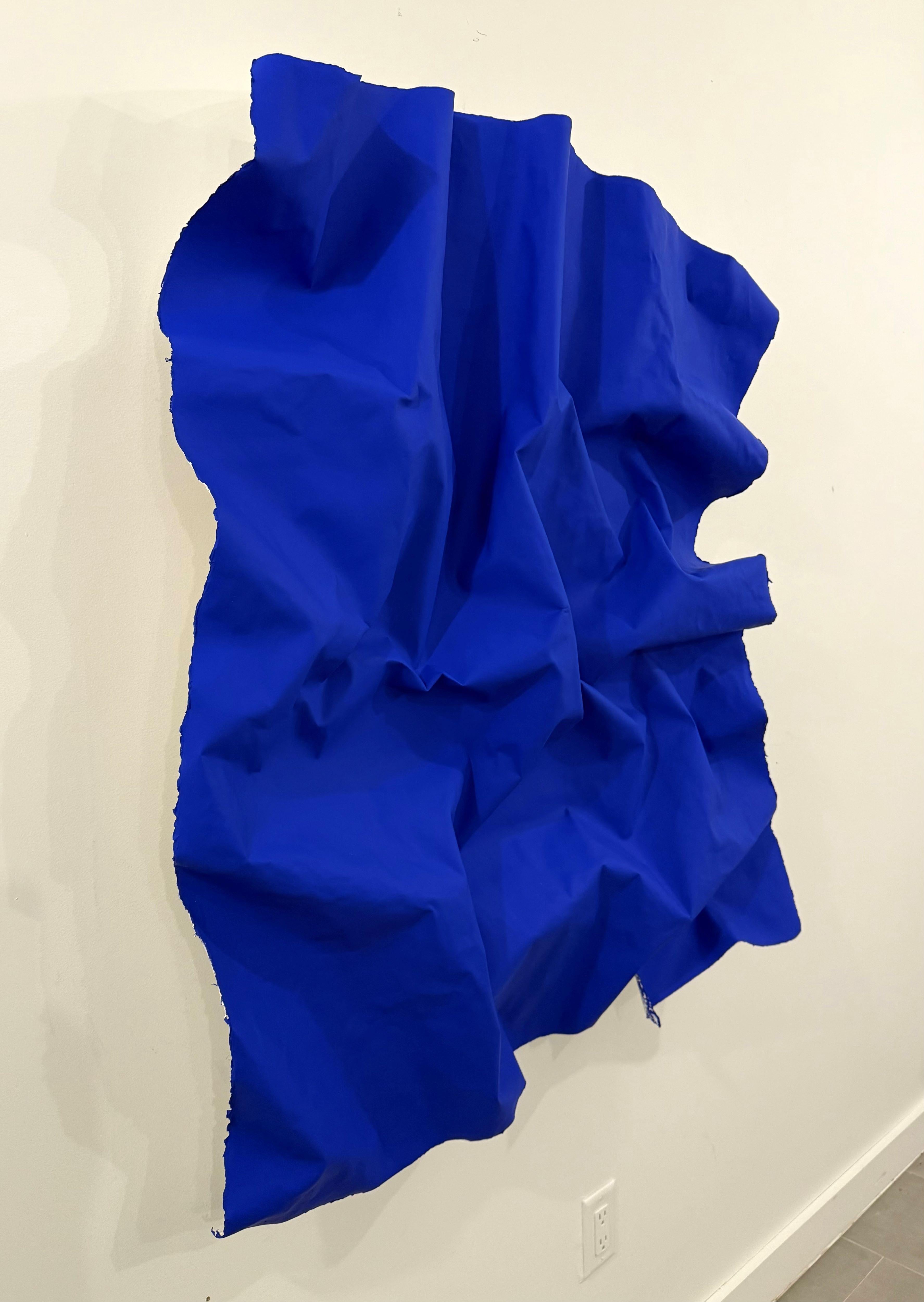 Crumpled Klein No.2 - Contemporary Painting by Bret Reilly