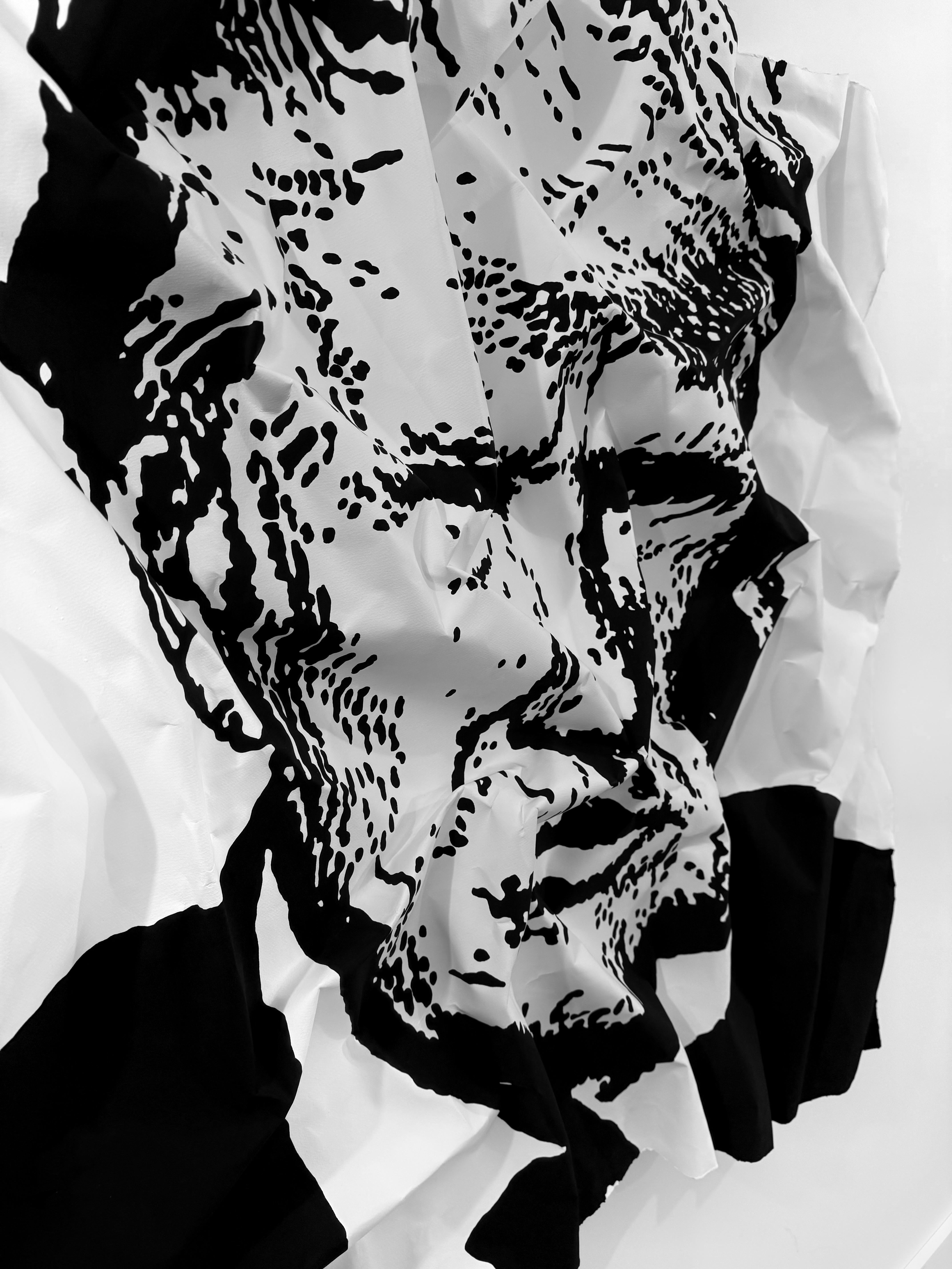 Donald Trump #2 in vendita 2