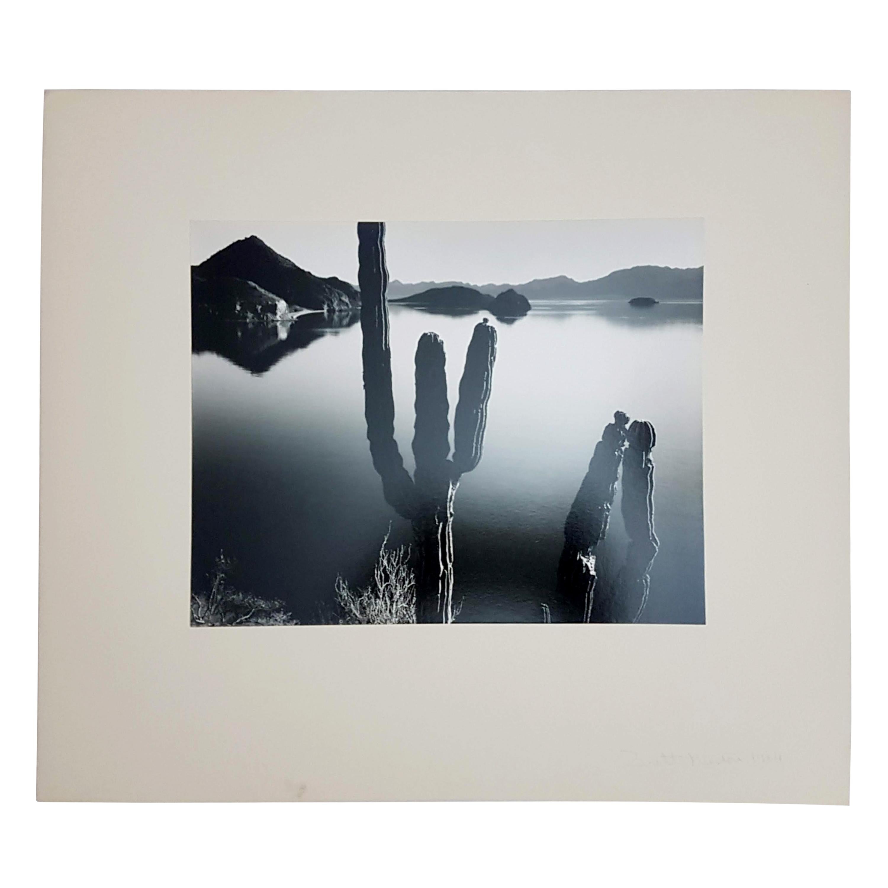 Brett Weston, Baja California, Portfolio with 15 Photographs 5
