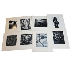 Brett Weston:: Baja California:: Mappe mit 15 Fotografien