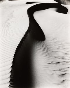 Dune