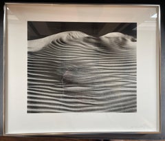 Dune, Oceano