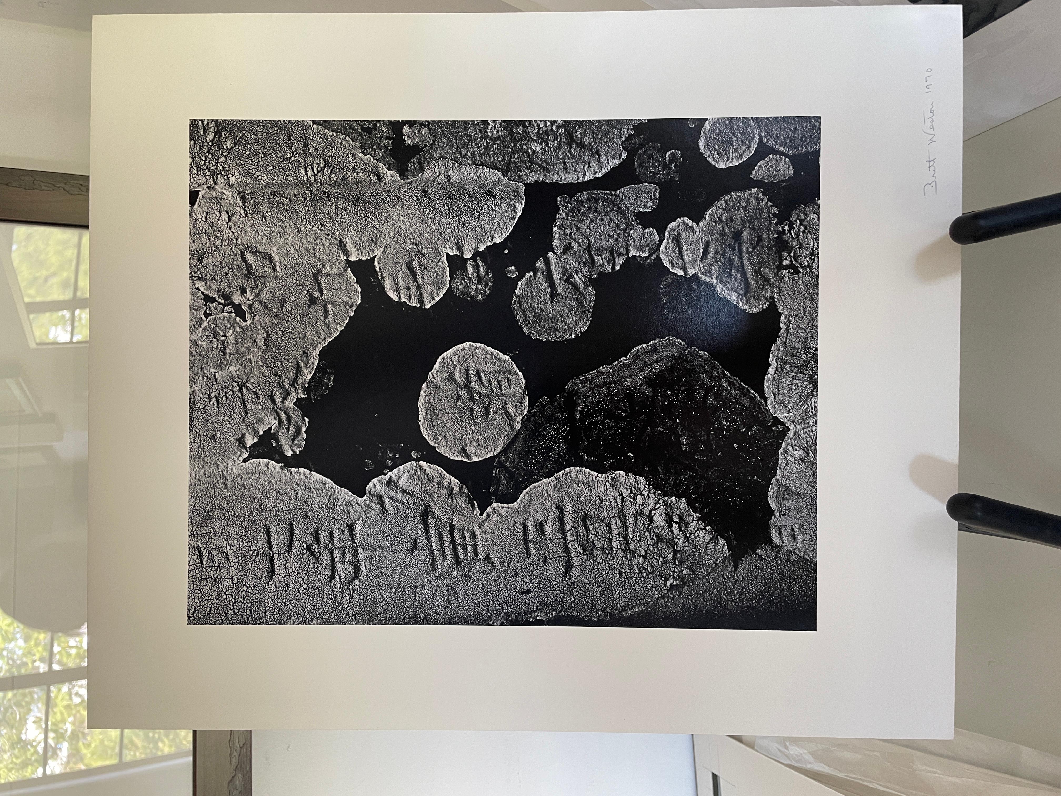 Lapide Giappone, lapide giapponese - Abstract Photograph Grigio di Brett Weston