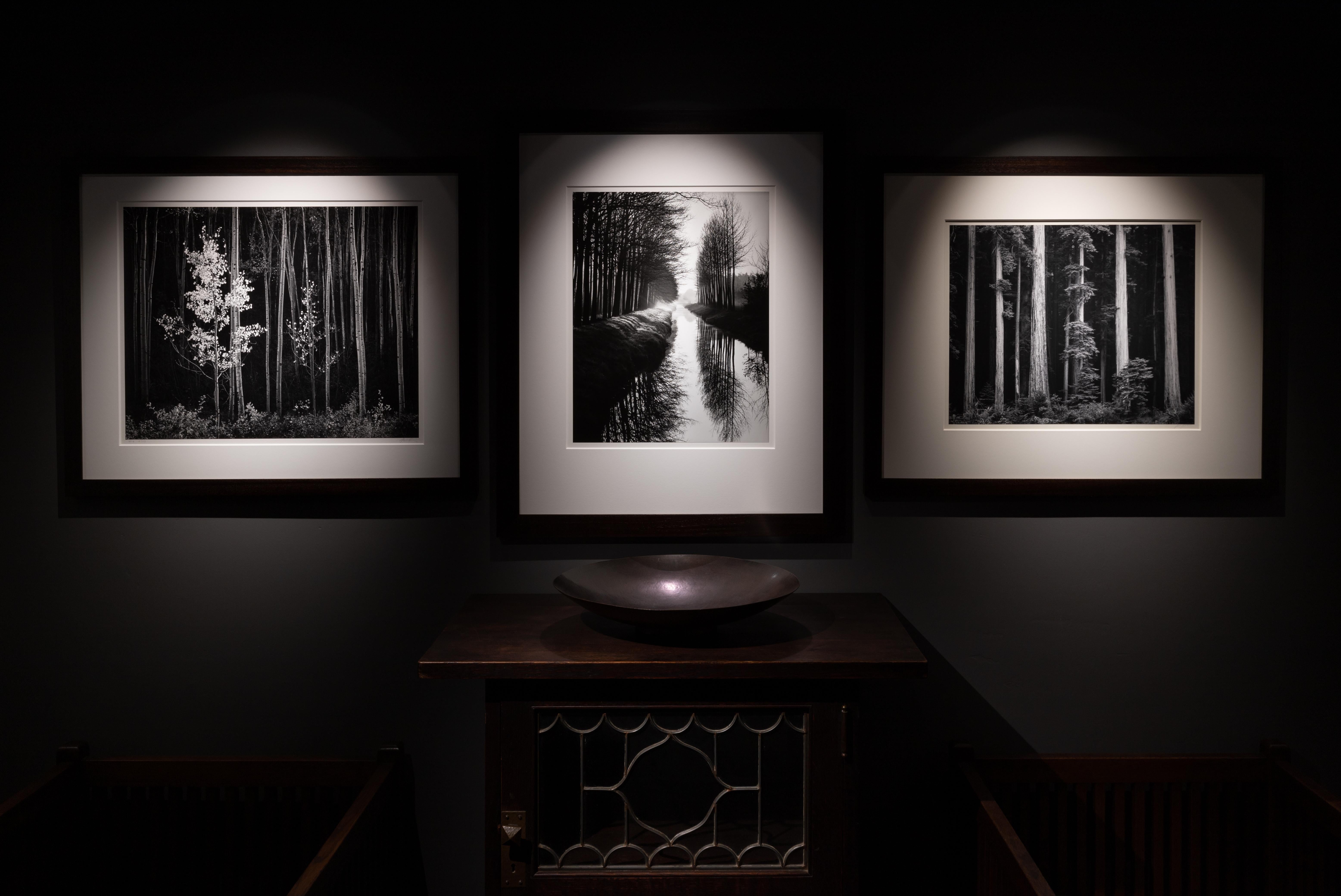 Canal de Hollande, Pays-Bas - Moderne Photograph par Brett Weston