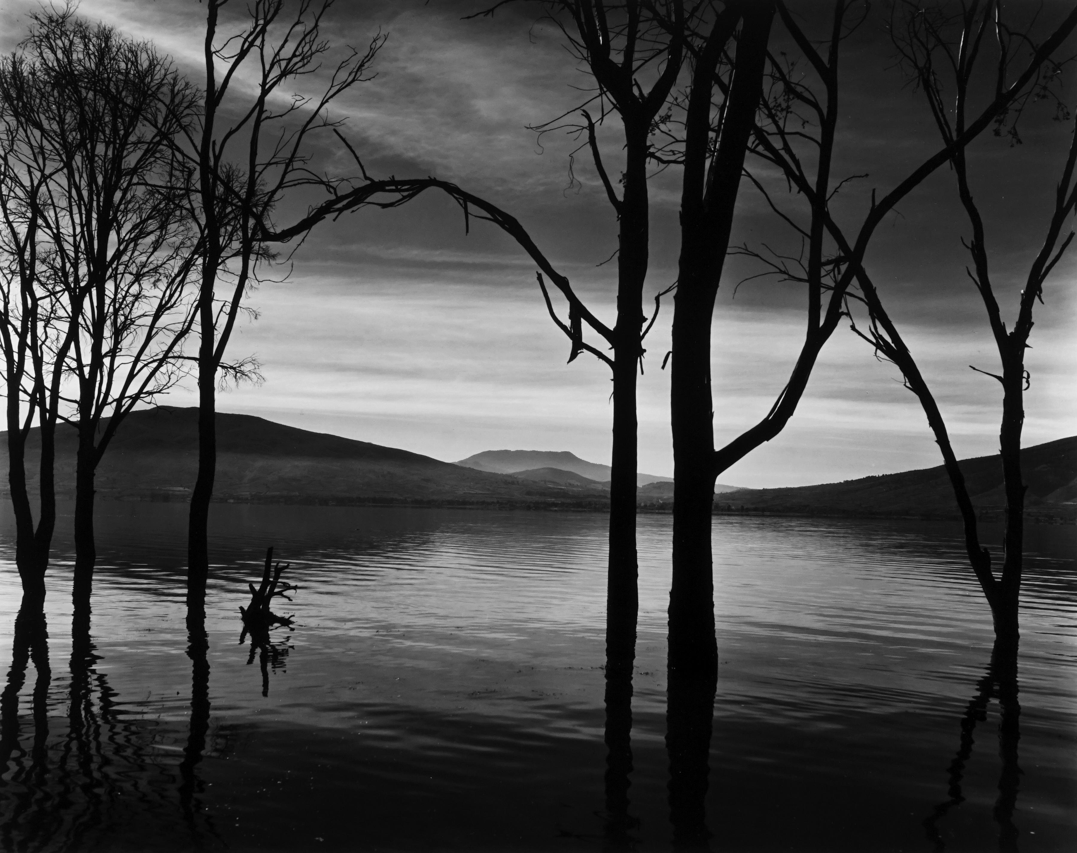 Brett Weston Black and White Photograph - Lake Patzcuaro, Mexico, 1973 