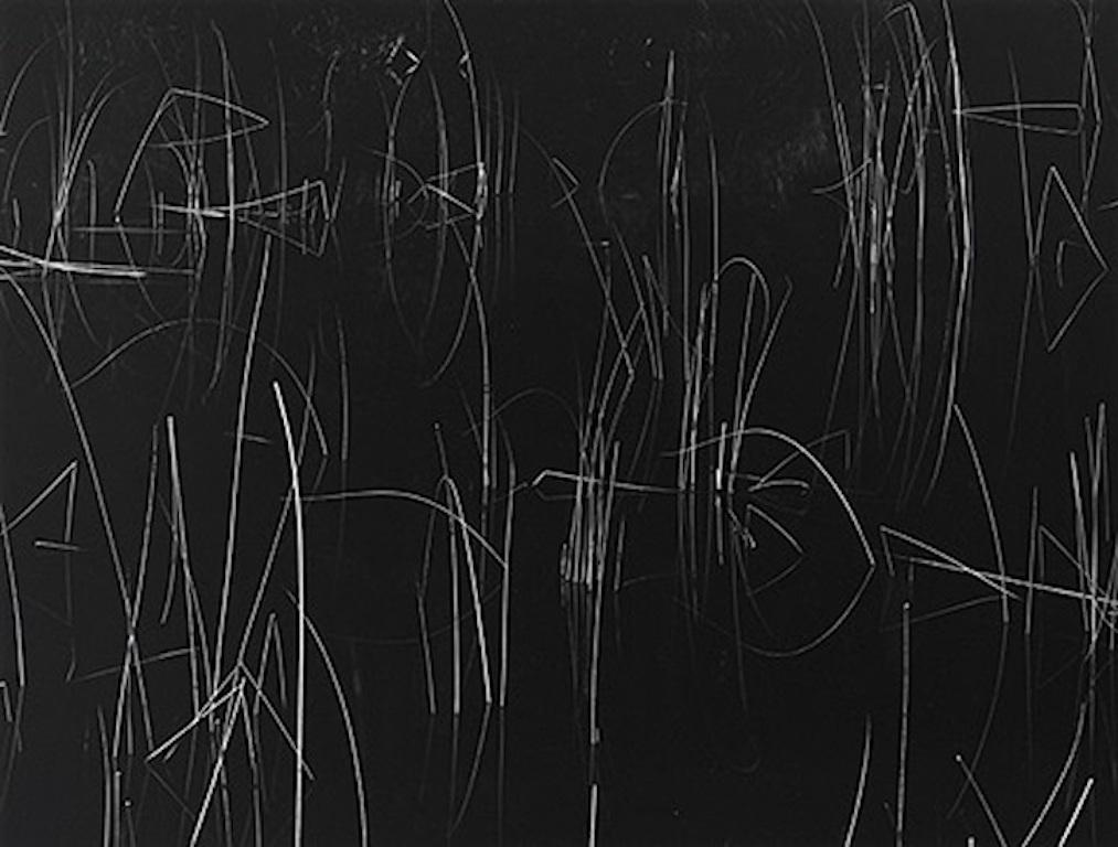 Brett Weston Abstract Photograph - Reeds, Oregon 