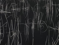Reeds, with water , Oregon photograph