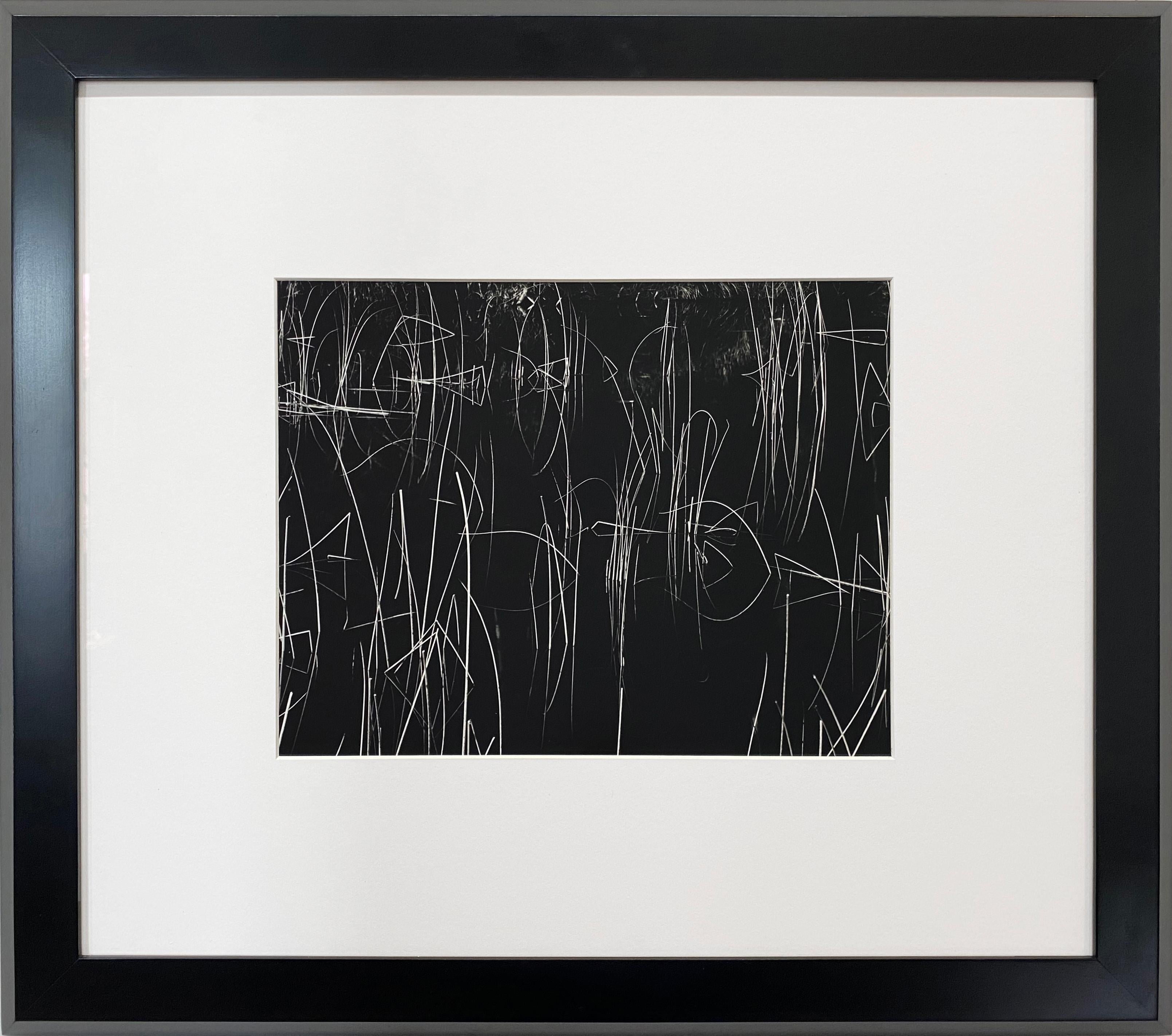 Brett Weston Black and White Photograph - Reeds, with water , Oregon photograph