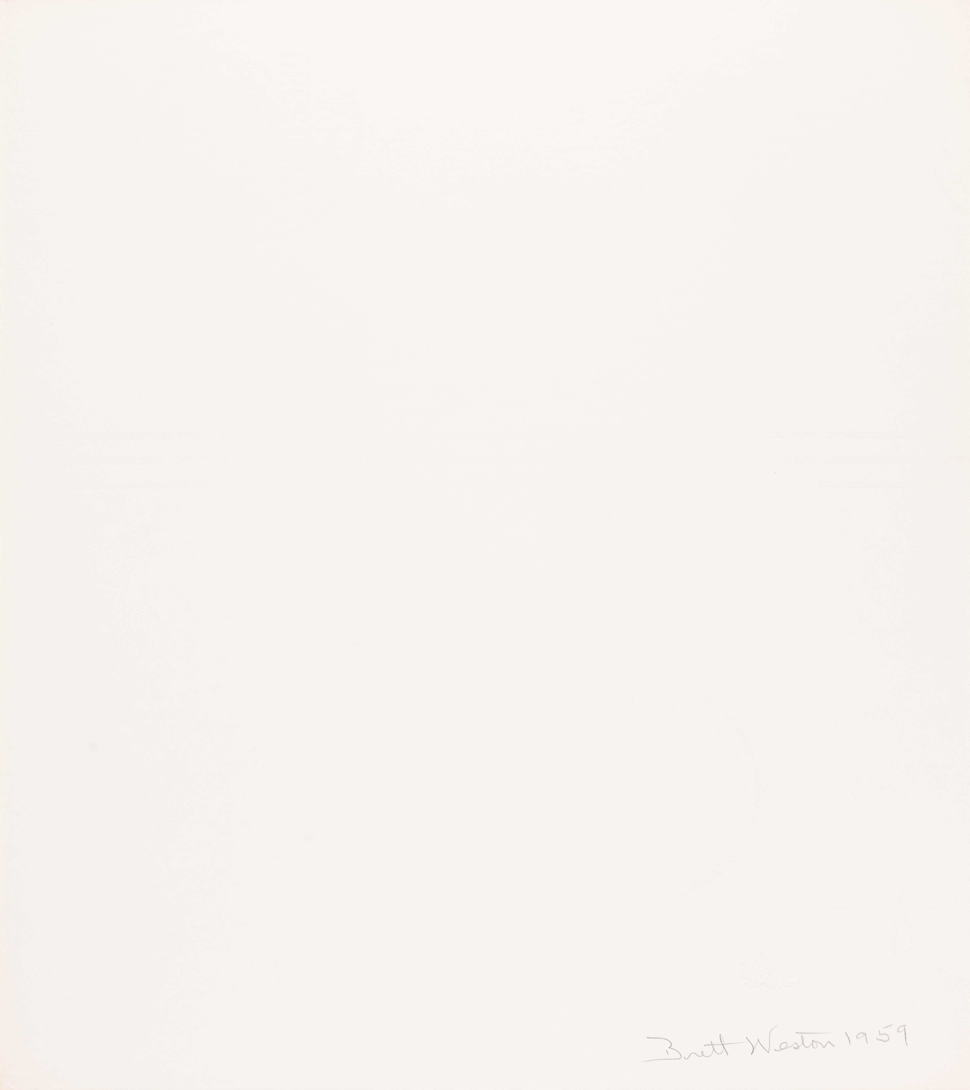 Tree and Rock Wall, Glen Canyon - Modern Photograph by Brett Weston