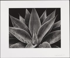 Twenty Photographs Portfolio 1970-1977 - A Set of 20 Original Hand Printed Photo