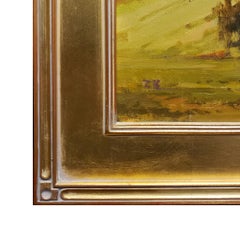 Entrando nel Beaver Meadow; Parco Nazionale delle Montagne Rocciose, Colorado