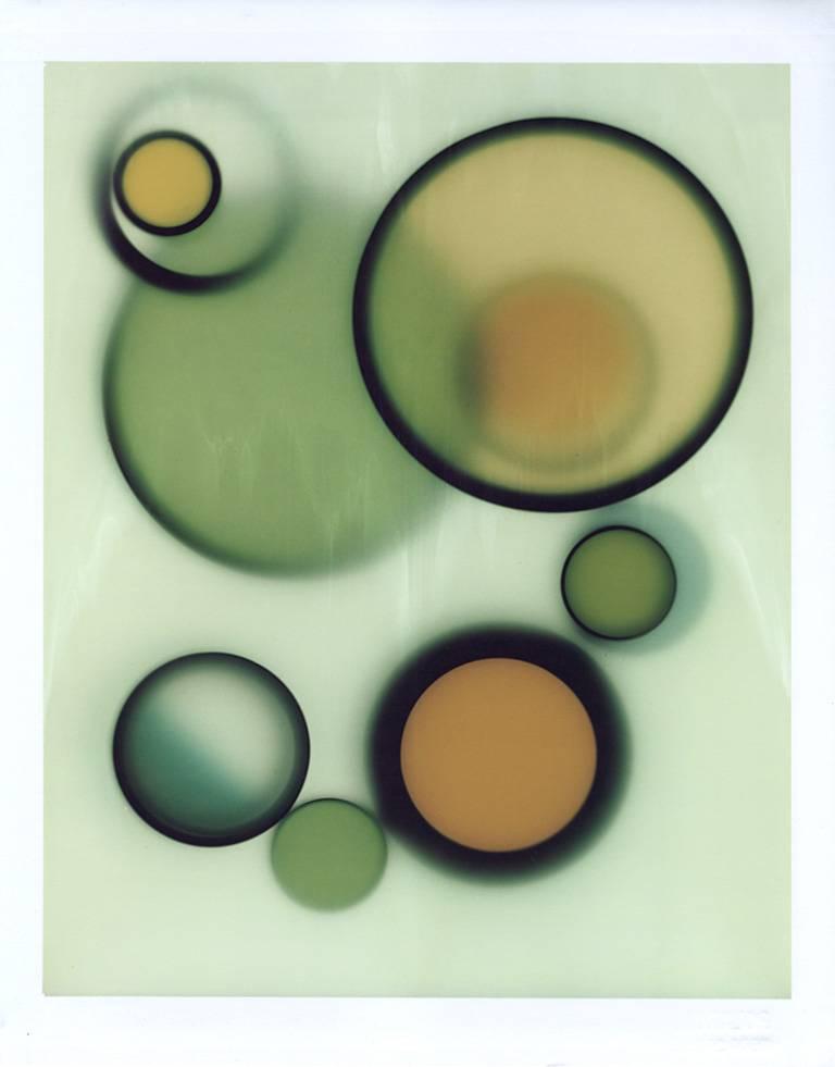 Brian Buckley Abstract Photograph - Animal in Green III