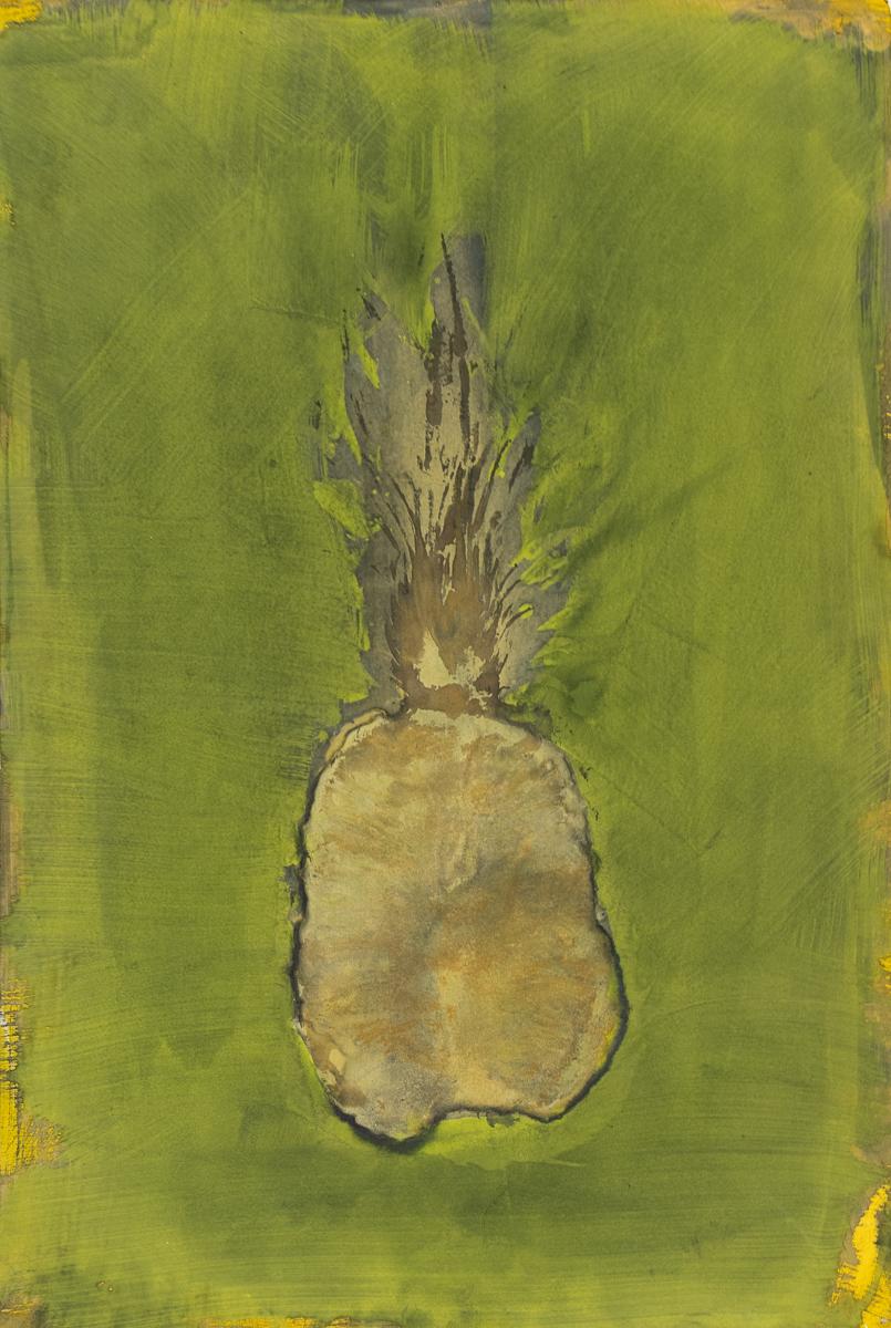 Ananas VI – Photograph von Brian Buckley