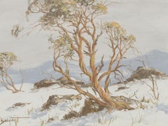 Brian Charles Baigent (1929-2000) - Framed 20th Century Oil, Snow Gum