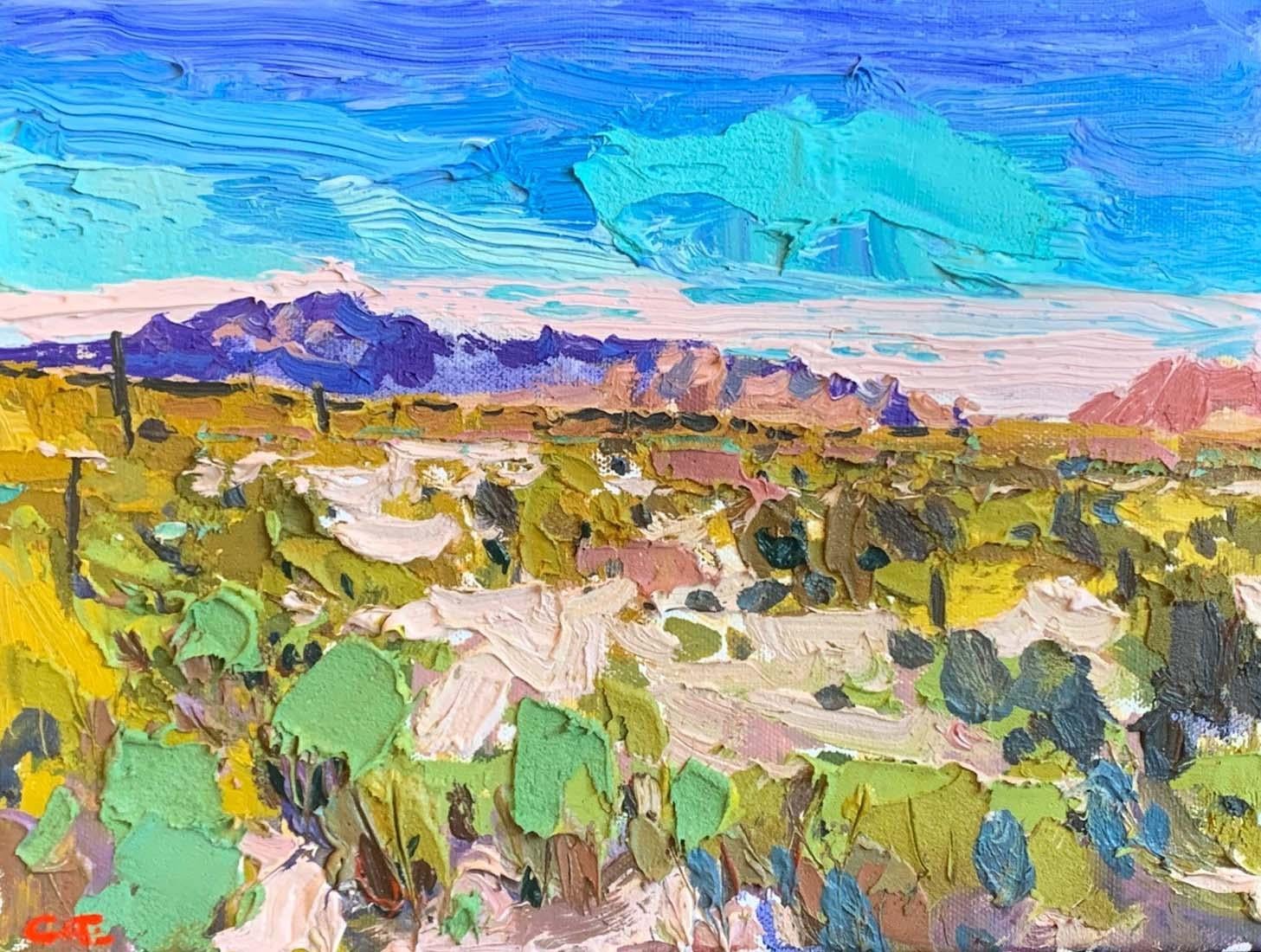 Brian Cote Landscape Painting - South Mountain