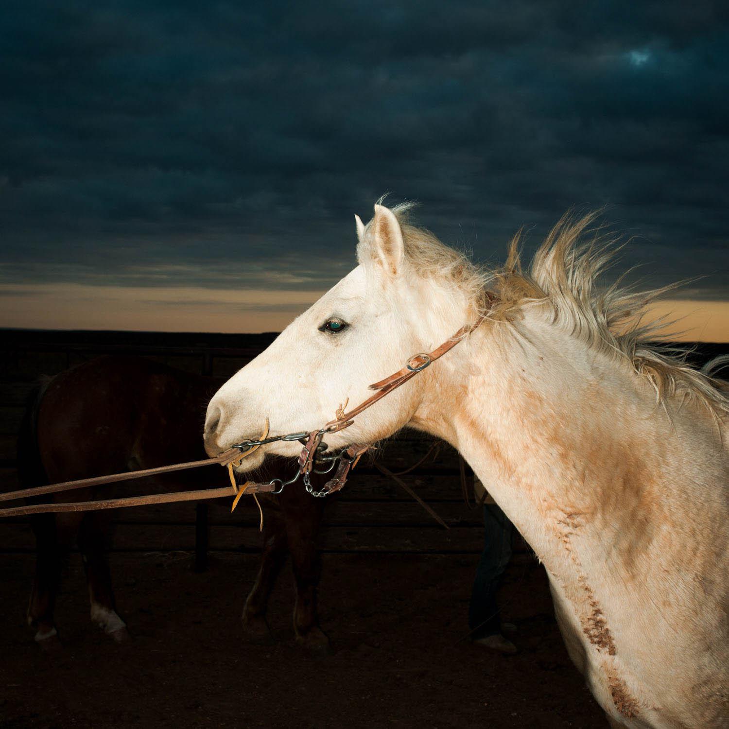 Brian Finke Figurative Photograph - Untitled (Texas no. 10)