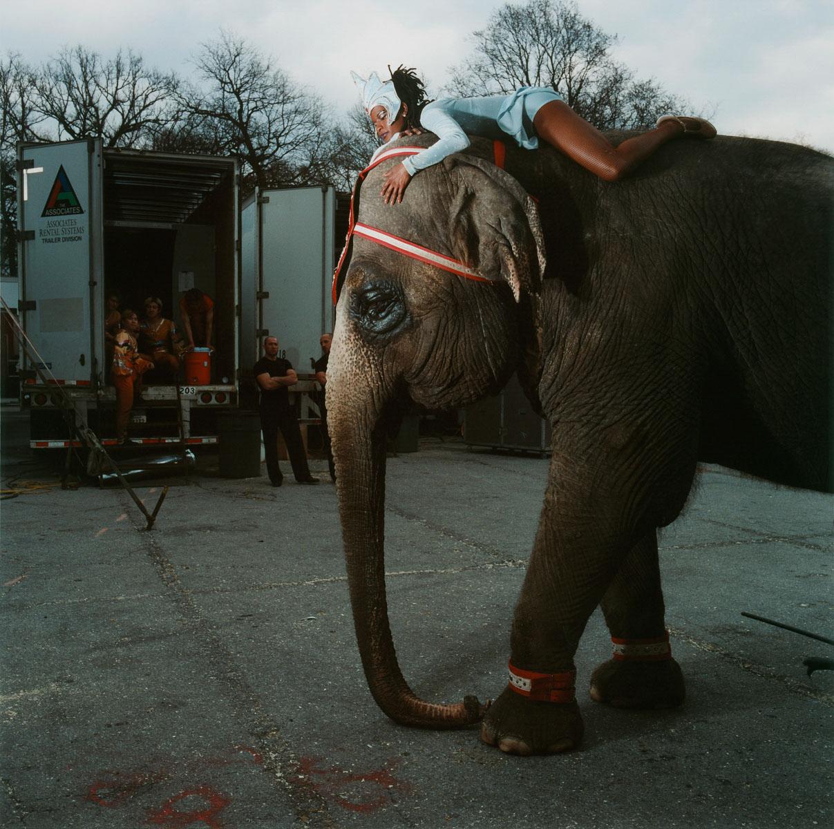 Brian Finke Color Photograph – Ohne Titel (Circus-Nr. 3), Fotografie